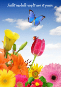 Fleurs &eacute;clatantes et papillons d'&eacute;t&eacute;